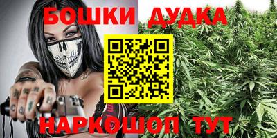 индика Гусь-Хрустальный