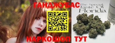индика Гусь-Хрустальный