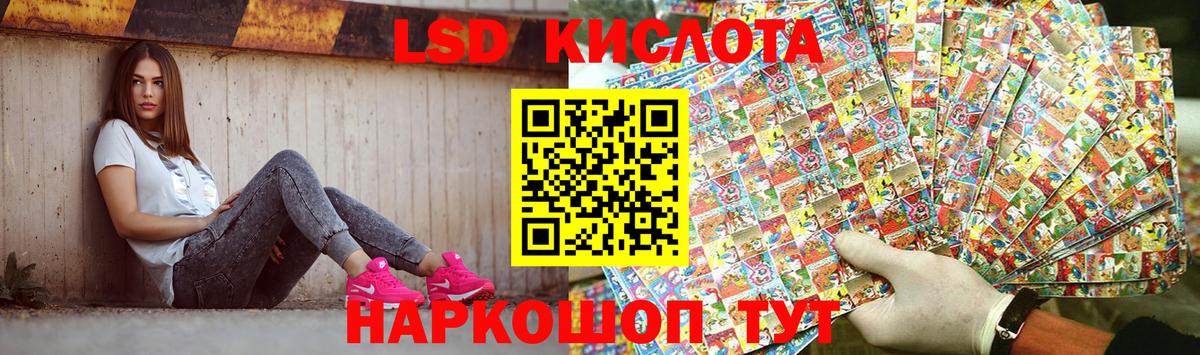 Псилоцибиновые грибы Гусев