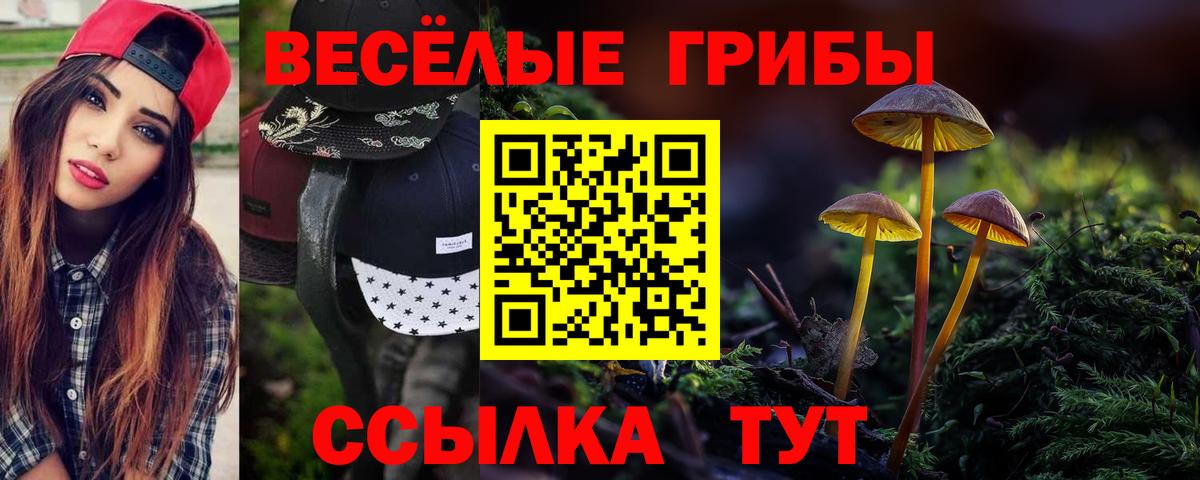 Псилоцибиновые грибы мицелий  Псилоцибиновые грибы Psilocybe  Вход с VPN  Гусев 